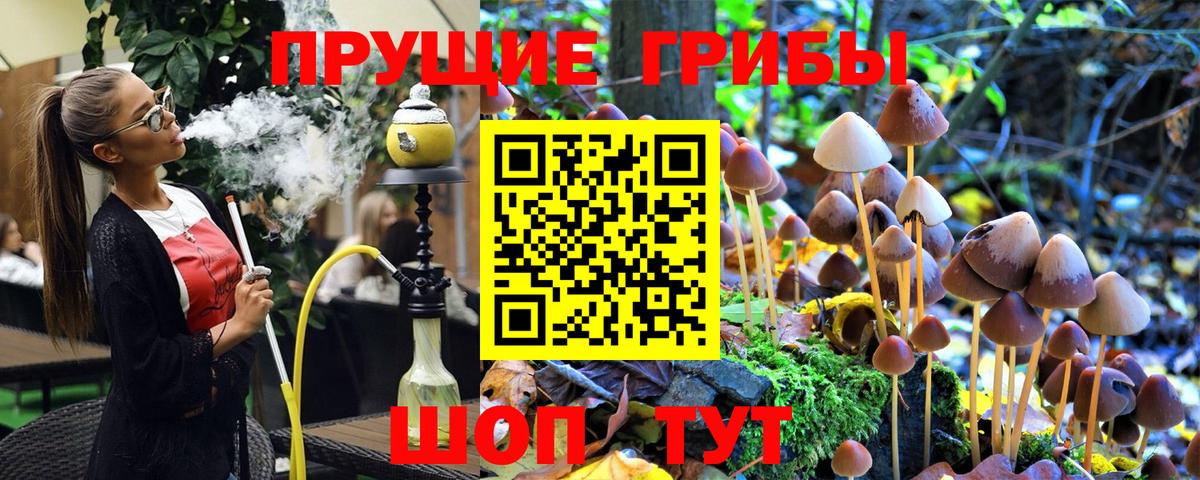 Галлюциногенные грибы GOLDEN TEACHER Муром