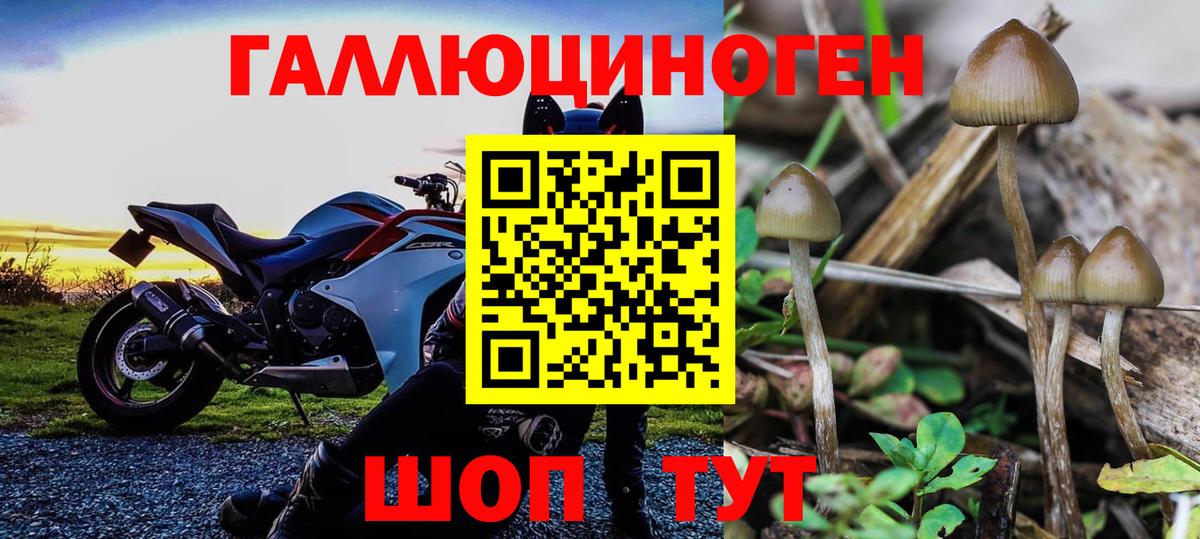 Муром  Псилоцибиновые грибы Magic Shrooms  Вход с VPN 